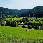 Le Havre Du Sotre Sauna Et * Gérardmer