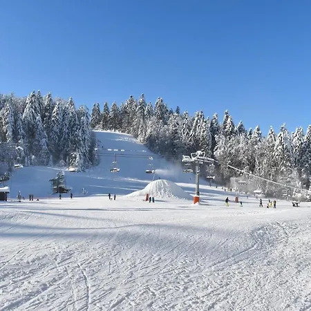Chalet Le Havre Du Sotre Sauna Et Gérardmer