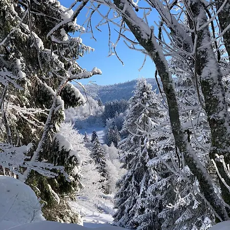 Le Havre Du Sotre Sauna Et
