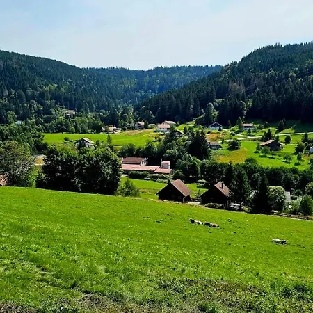 Le Havre Du Sotre Sauna Et * Gérardmer