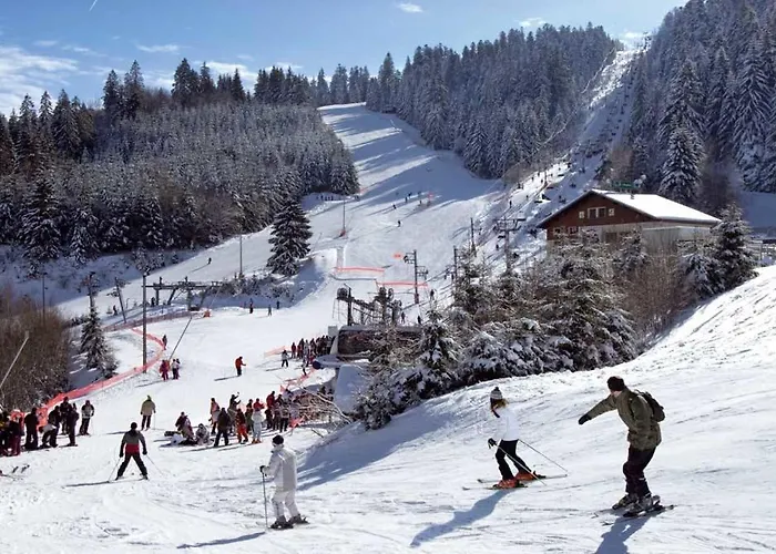 Le Havre Du Sotre Sauna Et *