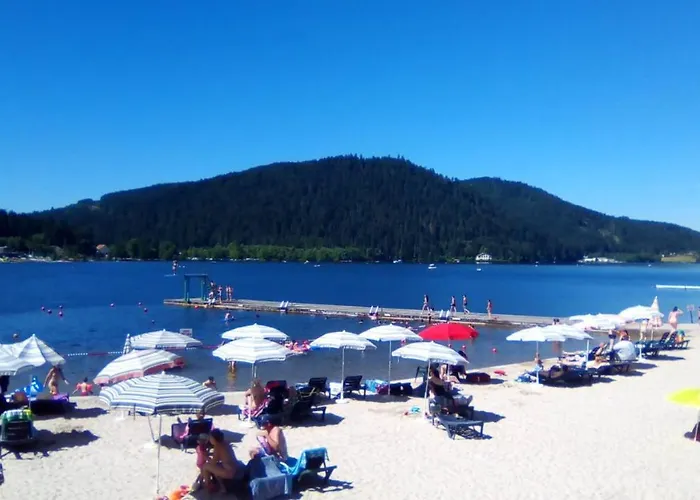 Le Havre Du Sotre Sauna Et * Gérardmer