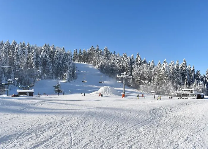 Chalet Le Havre Du Sotre Sauna Et Gérardmer