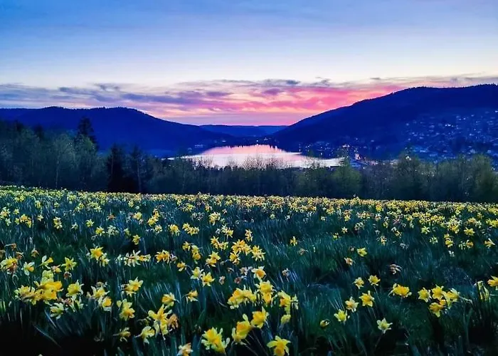 Le Havre Du Sotre Sauna Et Chalet