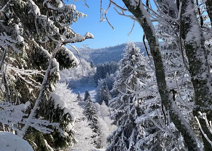 Le Havre Du Sotre Sauna Et