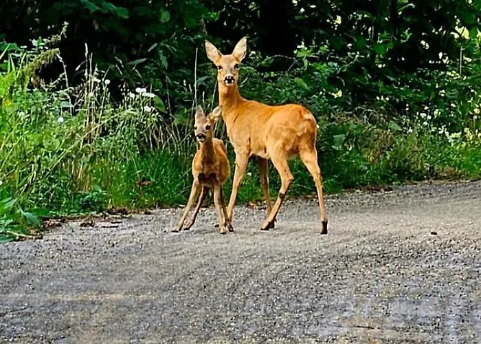 Le Havre Du Sotre Sauna Et